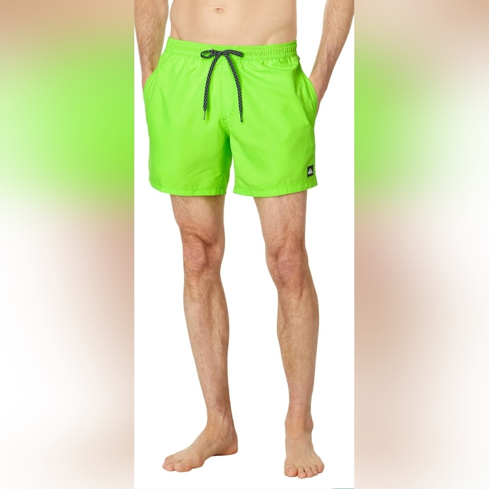 Quiksilver Men's Everyday 17" Volley/Swimmimg Shorts; Bright Green; Size Medium